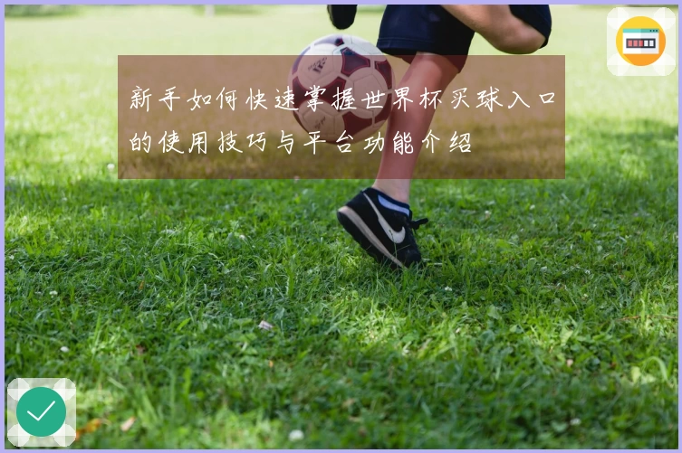新手如何快速掌握世界杯买球入口的使用技巧与平台功能介绍