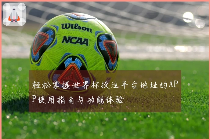 轻松掌握世界杯投注平台地址的APP使用指南与功能体验
