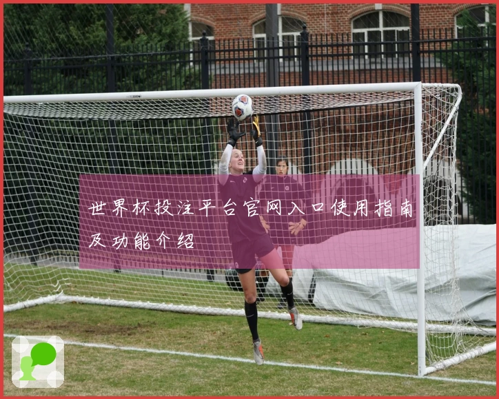 世界杯投注平台官网入口使用指南及功能介绍
