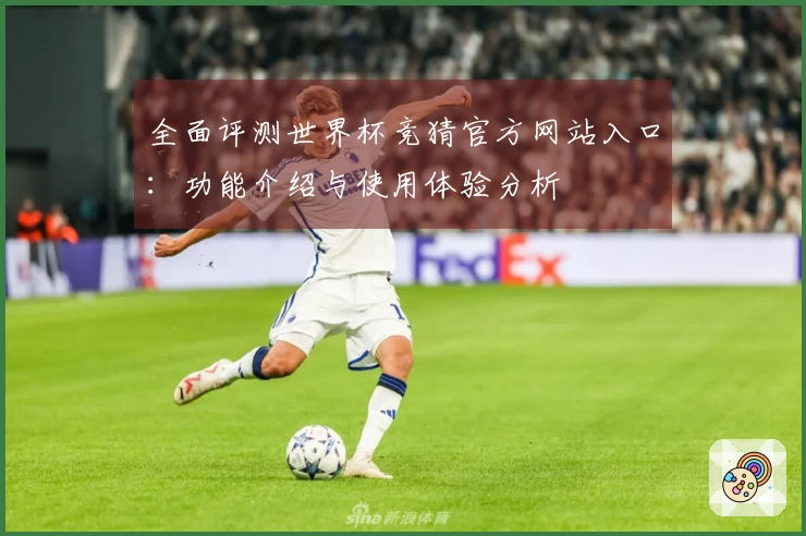 全面评测世界杯竞猜官方网站入口：功能介绍与使用体验分析