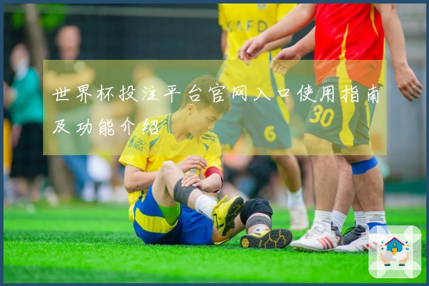 世界杯投注平台官网入口使用指南及功能介绍