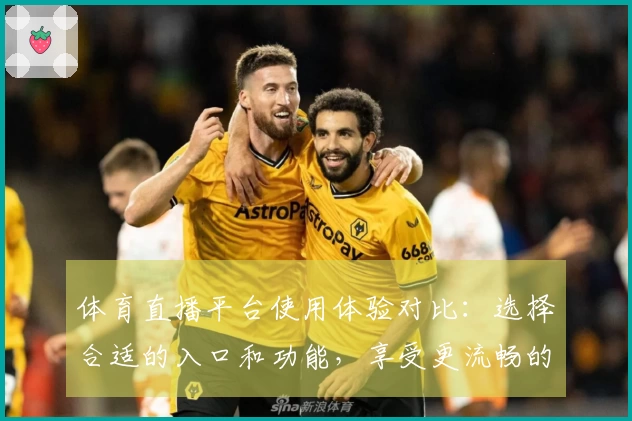 体育直播平台使用体验对比:选择合适的入口和功能,享受更流畅的观看体验