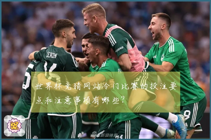 世界杯竞猜网站冷门比赛的投注要点和注意事项有哪些？