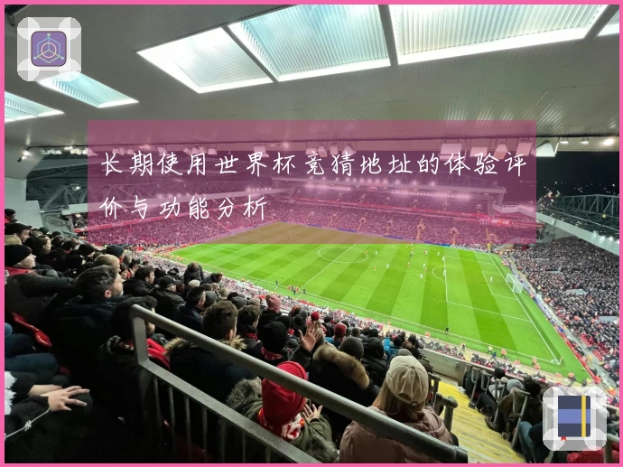 长期使用世界杯竞猜地址的体验评价与功能分析